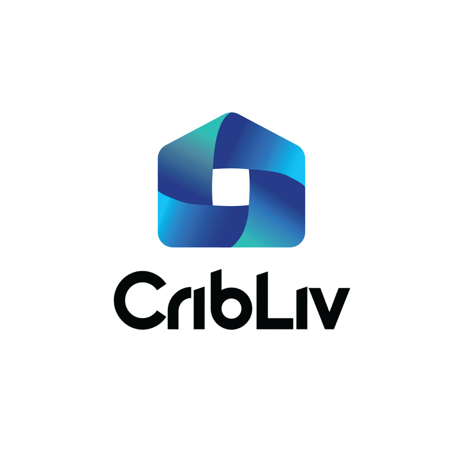 Company Icon